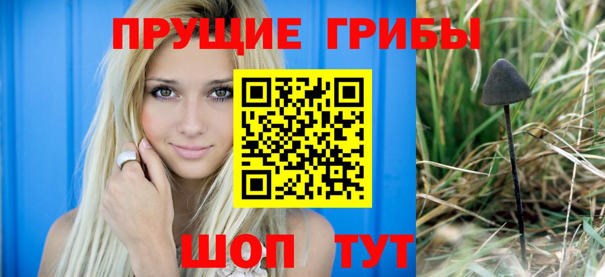 Волжск  Псилоцибиновые грибы прущие грибы  Вход с VPN 