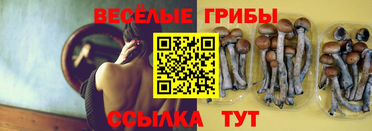 Галлюциногенные грибы Cubensis Волжск
